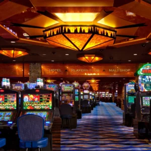 Entertainment Carpet